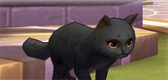 黒猫クルロ