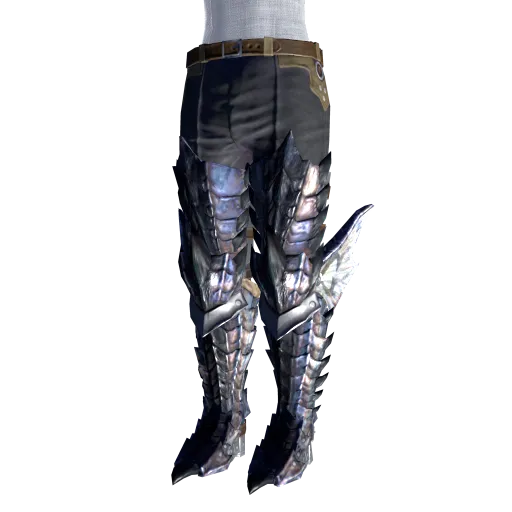 リオレウス希少種脚