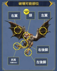 セルレギオス破壊可能部位