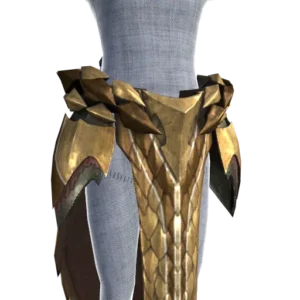 セルレギオス腰