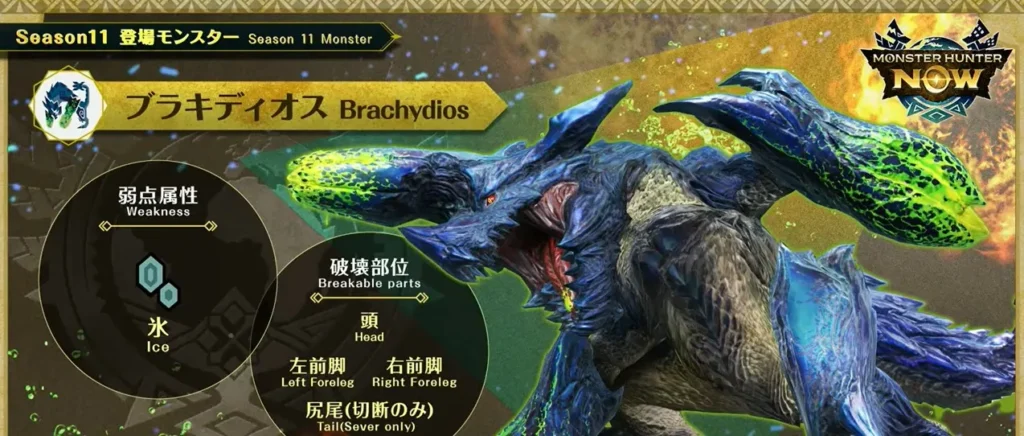 ブラキディオス詳細